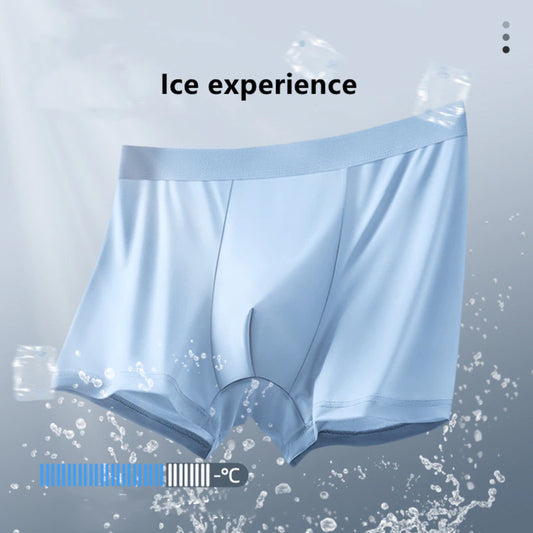 Celana Dalam Pria Boxer CDP002 Antibakteri Ice Silk Elastis 6PCS